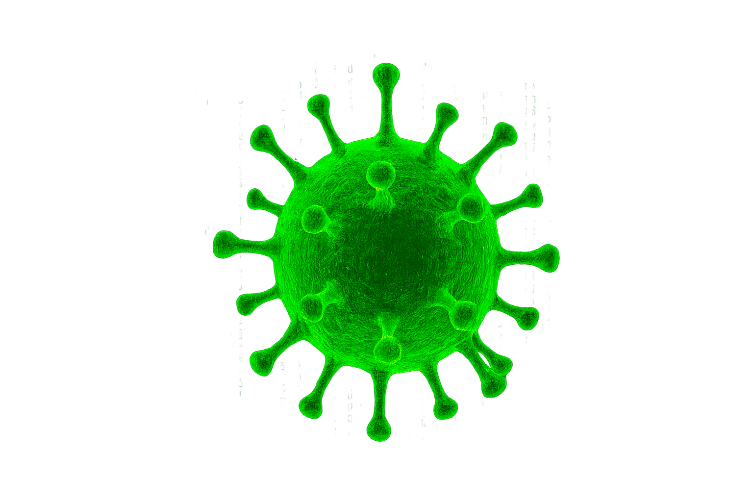 Virus